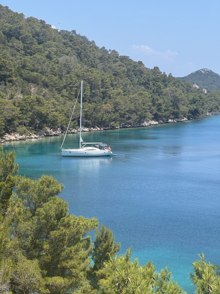 Sarinya_Lastovo